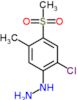 [2-chloro-5-methyl-4-(methylsulfonyl)phenyl]hydrazine