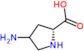 4-amino-D-Prolin