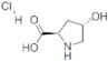 Clorhidrato de trans-4-hidroxi-D-prolina