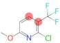 2-Chloro-6-Methoxy-3-(trifluoroMethyl)pyridine