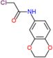 2-chloro-N-(2,3-dihydro-1,4-benzodioxin-6-yl)acetamide