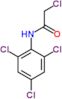 2-Chloro-N-(2,4,6-trichlorophenyl)acetamide