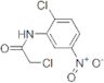 2-CHLORO-N-(2-CHLORO-5-NITROPHENYL)ACETAMIDE