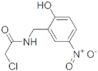 2-CHLORO-N-(2-HYDROXY-5-NITROBENZYL)ACETAMIDE