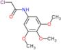 2-chloro-N-(3,4,5-trimethoxyphenyl)acetamide