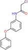 2-chloro-N-(3-phenoxyphenyl)acetamide