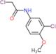 2-chloro-N-(3-chloro-4-methoxyphenyl)acetamide