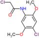 2-chloro-N-(4-chloro-2,5-dimethoxyphenyl)acetamide