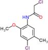 2-chloro-N-(4-chloro-2-methoxy-5-methylphenyl)acetamide