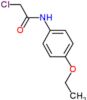 2-chloro-N-(4-ethoxyphenyl)acetamide