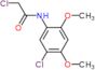 2-chloro-N-(5-chloro-2,4-dimethoxyphenyl)acetamide