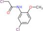 2-chloro-N-(5-chloro-2-methoxyphenyl)acetamide