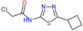 2-chloro-N-(5-cyclobutyl-1,3,4-thiadiazol-2-yl)acetamide