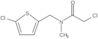 2-Chloro-N-[(5-chloro-2-thienyl)methyl]-N-methylacetamide