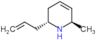 (2R,6R)-6-methyl-2-prop-2-en-1-yl-1,2,3,6-tetrahydropyridine