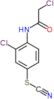 3-chloro-4-[(chloroacetyl)amino]phenyl thiocyanate