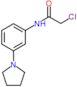 2-chloro-N-(3-pyrrolidin-1-ylphenyl)acetamide