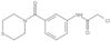 2-Chloro-N-[3-(4-thiomorpholinylcarbonyl)phenyl]acetamide