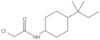 2-Chloro-N-[4-(1,1-dimethylpropyl)cyclohexyl]acetamide