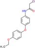 2-chloro-N-[4-(4-ethoxyphenoxy)phenyl]acetamide