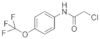 N-(chloroacetyl)-4-(trifluoromethoxy)aniline