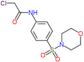 2-chloro-N-[4-(morpholin-4-ylsulfonyl)phenyl]acetamide