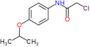 2-chloro-N-[4-(propan-2-yloxy)phenyl]acetamide