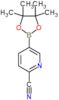 5-(4,4,5,5-tetramethyl-1,3,2-dioxaborolan-2-yl)pyridine-2-carbonitrile