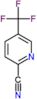 5-(trifluoromethyl)pyridine-2-carbonitrile