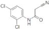 2-Cyano-N-(2,4-dichloro-phenyl)-acetamide