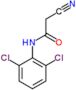 2-cyano-N-(2,6-dichlorophenyl)acetamide