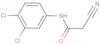 2-cyano-N-(3,4-dichlorophenyl)acetamide