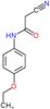 2-cyano-N-(4-ethoxyphenyl)acetamide