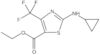 Ethyl 2-(cyclopropylamino)-4-(trifluoromethyl)-5-thiazolecarboxylate