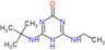 Hydroxyterbuthylazine