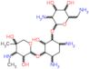 4,6-diamino-3-{[3-deoxy-4-C-methyl-3-(methylamino)pentopyranosyl]oxy}-2-hydroxycyclohexyl 2,6-diamino-2,6-dideoxyhexopyranoside
