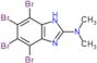 4,5,6,7-tetrabromo-N,N-dimethyl-1H-benzimidazol-2-amine