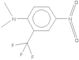 2-Dimethylamino-5-nitrobenzotrifluoride