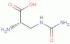 L-(-)2-amino-3-ureidopropionic acid