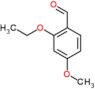 2-ethoxy-4-methoxybenzaldehyde