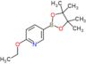 2-ethoxy-5-(4,4,5,5-tetramethyl-1,3,2-dioxaborolan-2-yl)pyridine