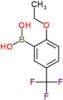 [2-ethoxy-5-(trifluoromethyl)phenyl]boronic acid
