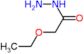 2-ethoxyacetohydrazide