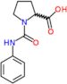 1-(phenylcarbamoyl)proline