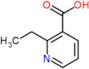 2-ethylpyridine-3-carboxylic acid