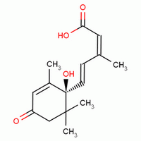 [S-(Z,E)]-5-(1-hidroxi-2,6,6-trimetil-4-oxociclohex-2-en-1-il)-3-metilpenta-2,4-dienoico ácido