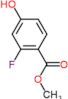 methyl 2-fluoro-4-hydroxybenzoate