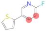 2-Fluoro-5-(2-thienyl)pyridine