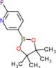 2-fluoro-5-(4,4,5,5-tetramethyl-1,3,2-dioxaborolan-2-yl)pyridine