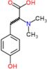 N,N-dimethyltyrosine